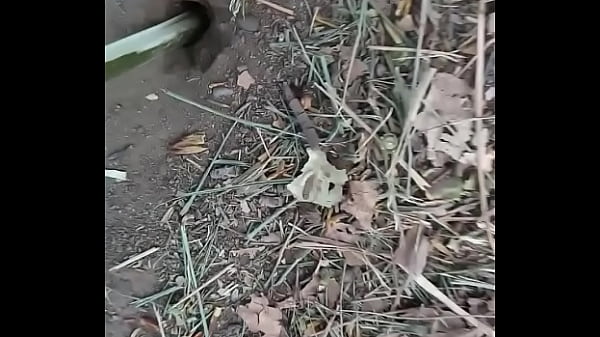 Excited boy v. anthill with its big and thick branch
